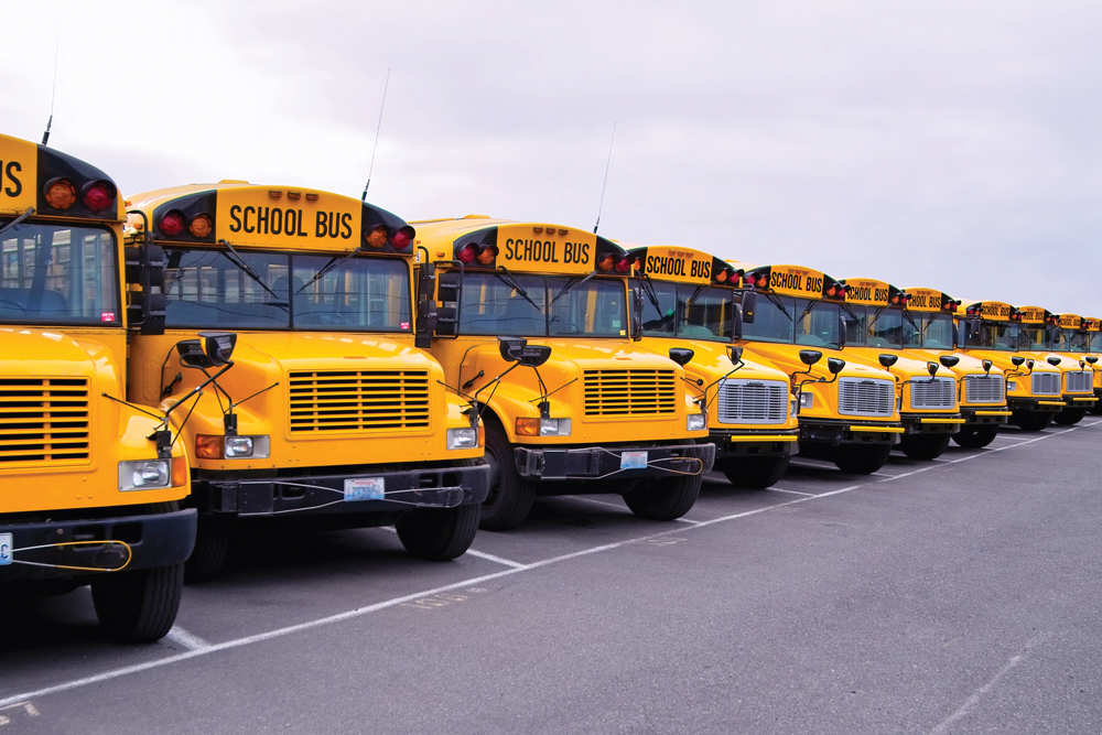 Line of school buses