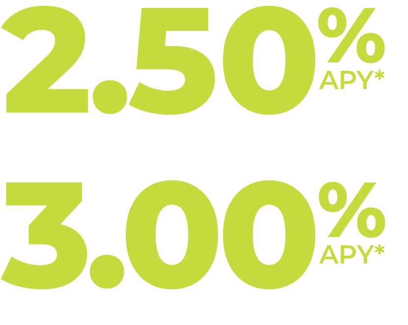 Northeast Bank Business High-Yield Savings