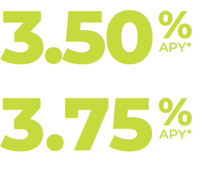 Northeast Bank Business High Yield Savings